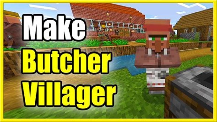 A Butcher Villager