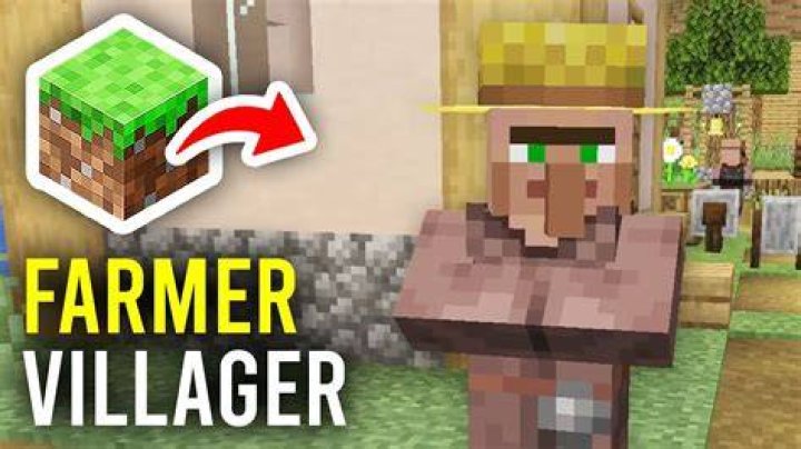 A Farmer Villager