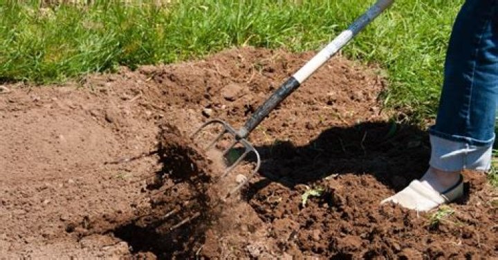 A PITCHFORK