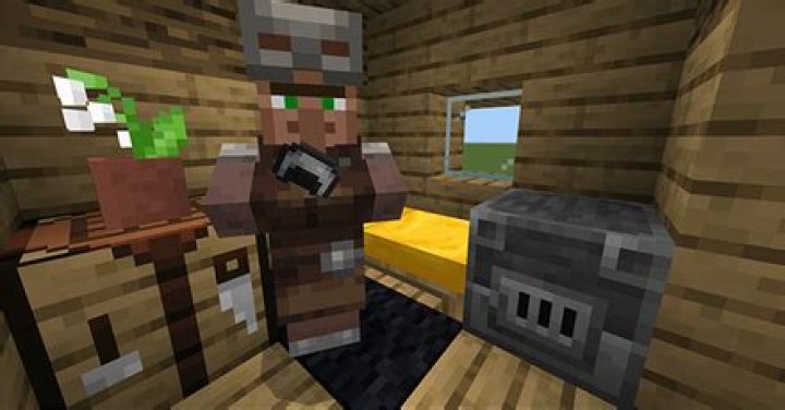 A Priest Villager