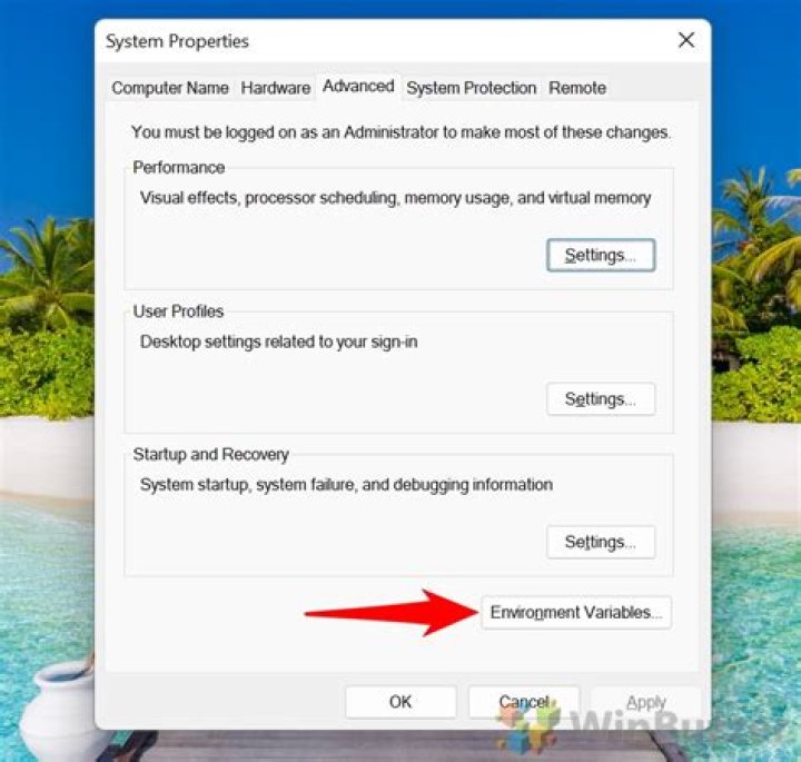 advanced path settings
