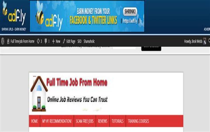 An example of an ad.fly page