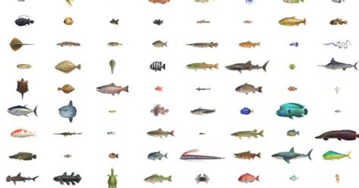 animal crossing new horizon fish bug collection at september 11 2020