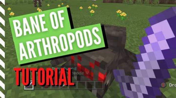 Bane Of Arthropods Enchantment