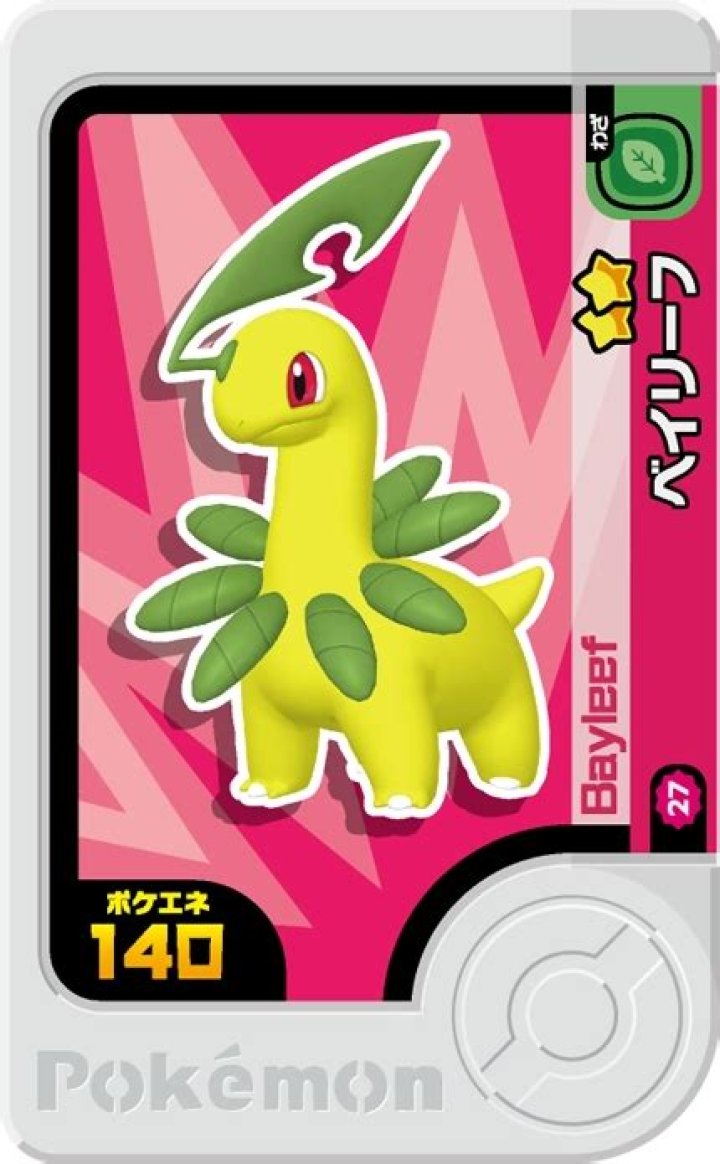bayleef 2