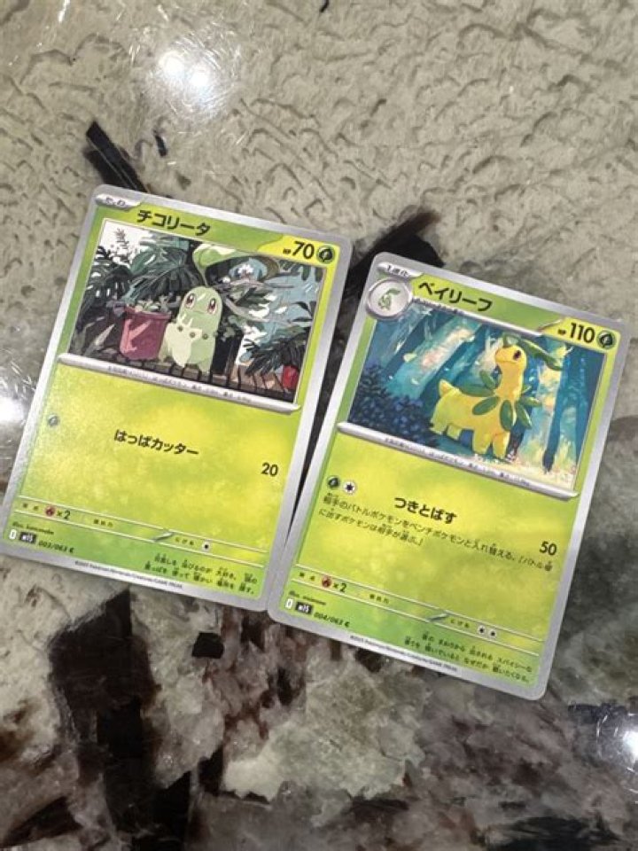 bayleef 3