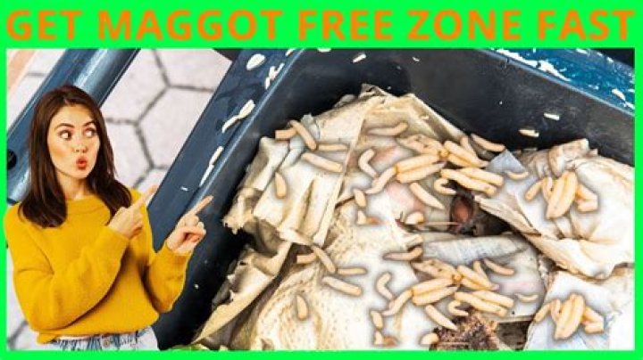 Best way to kill Craw Maggots