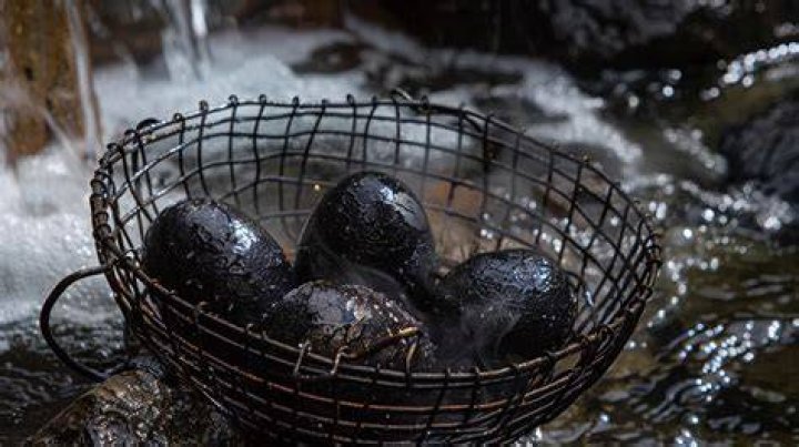 Black bubbling eggs?