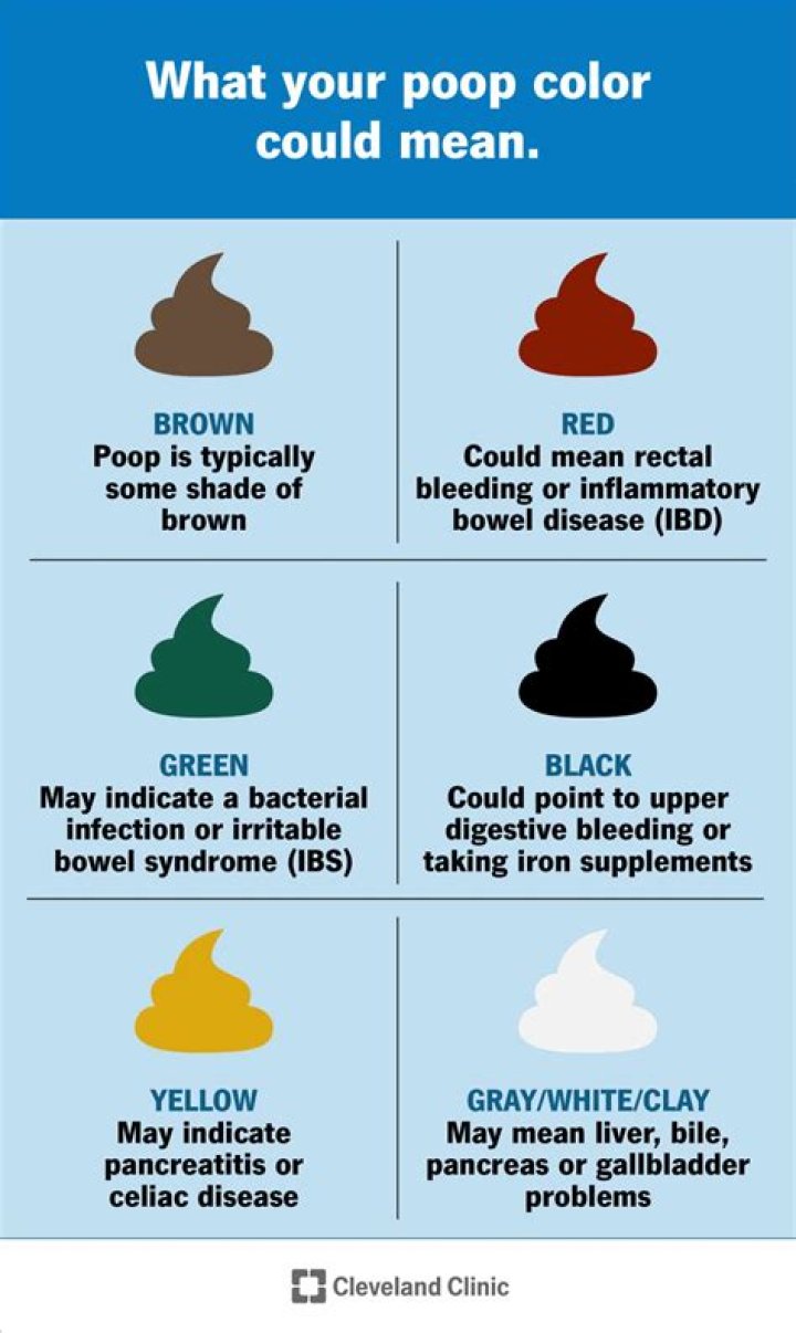 Black Poop Room