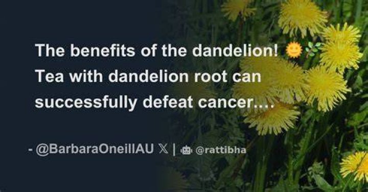 Can Dandelion defeat you?