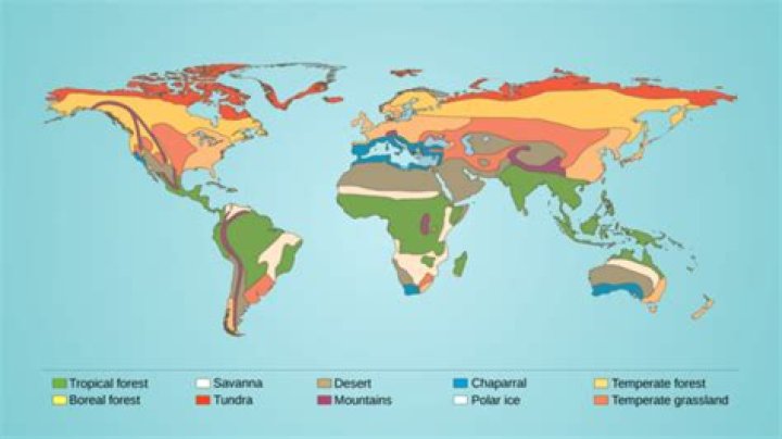 Can I change the biome of the world?