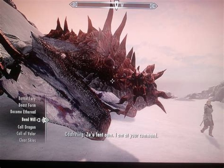 Can I ride Odahviing?