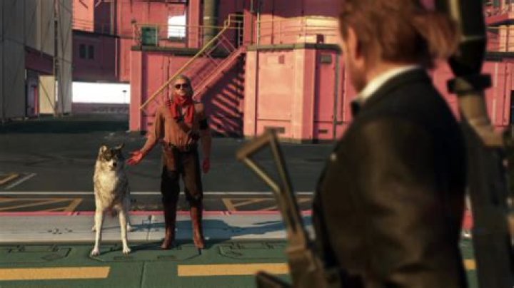 Can I still find D-Dog after mission 5?