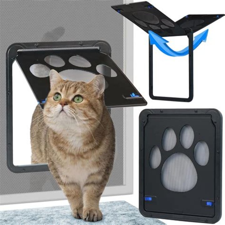 cat head door