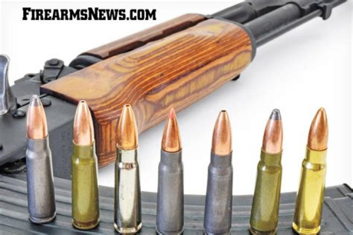Do followers use ammo for a new gun?