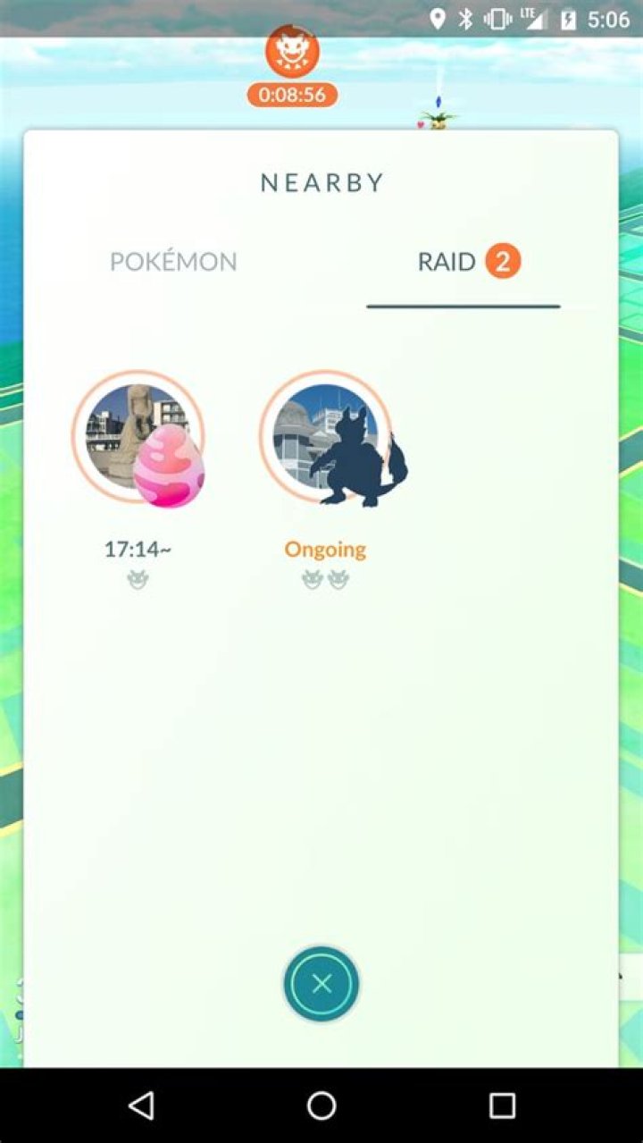 Do nearby raids only show silhouettes?