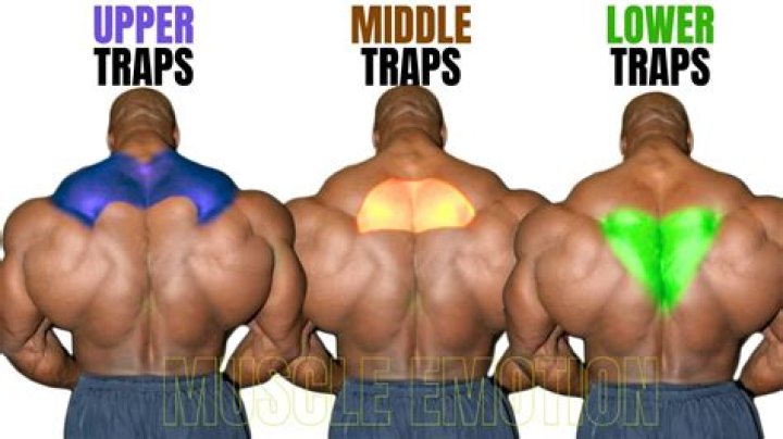 Do traps improve when you level the ability after you place them?