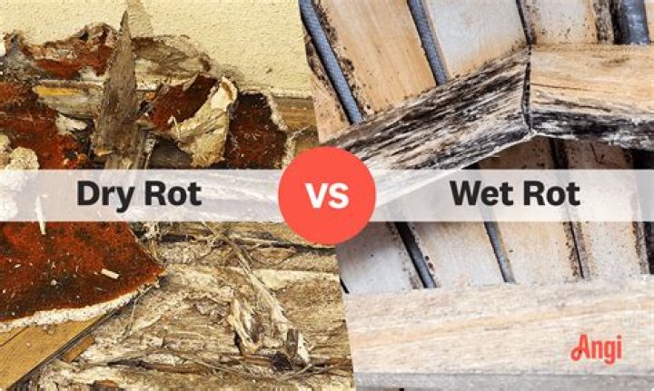 Does it hurt to leave rot on the ground?