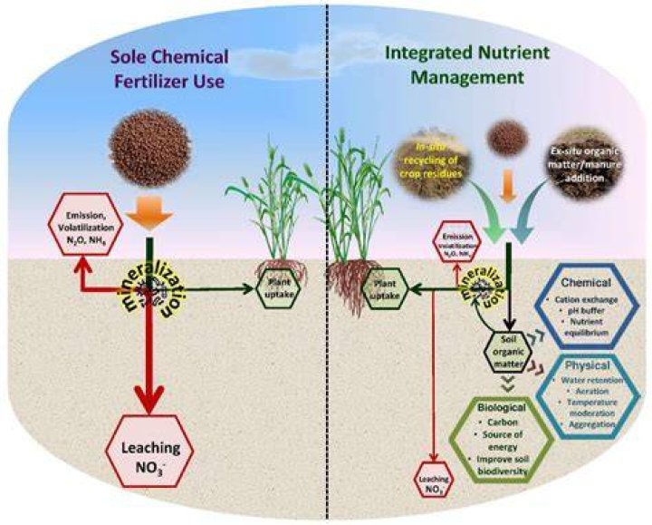 Does Speed-Gro fertilizer affect the growth of repeating crops?