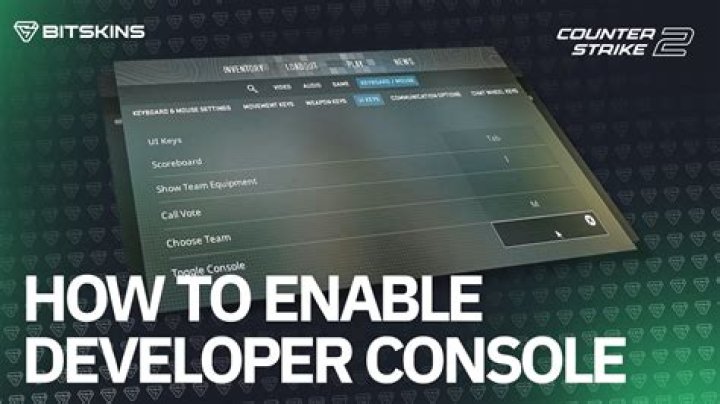 Enable Developer Console