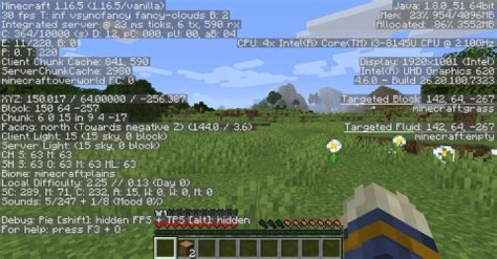 f3 screenshot