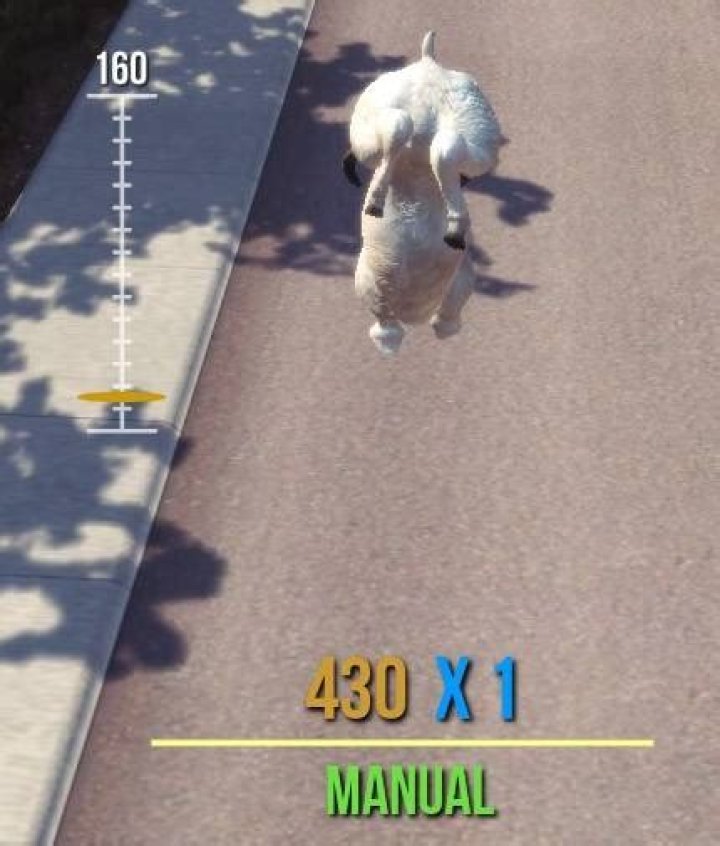 goat manual baaaa