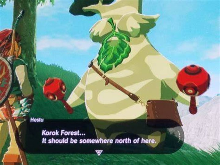 Hestu discusses Korok Forest - The Legend of Zelda: Breath of the Wild