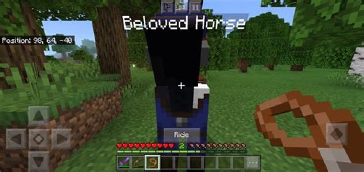 Horsey Error