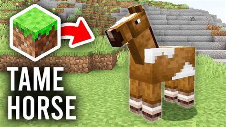 How can I tame a horse in 1.6?