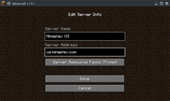 How can my two boys both play on Mineplex?