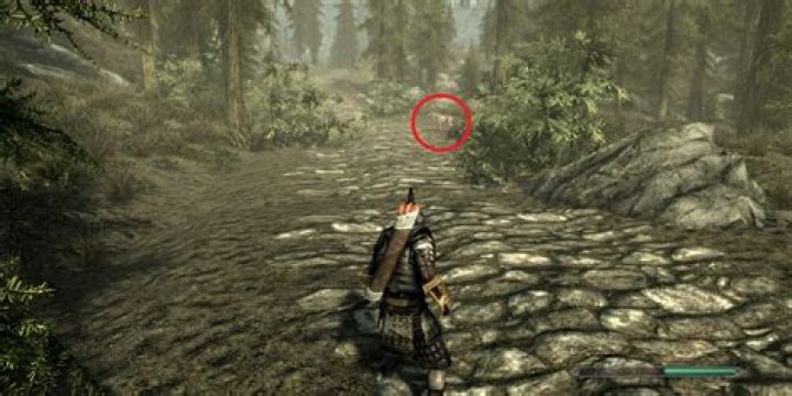 How can you get Meeko in Skyrim?
