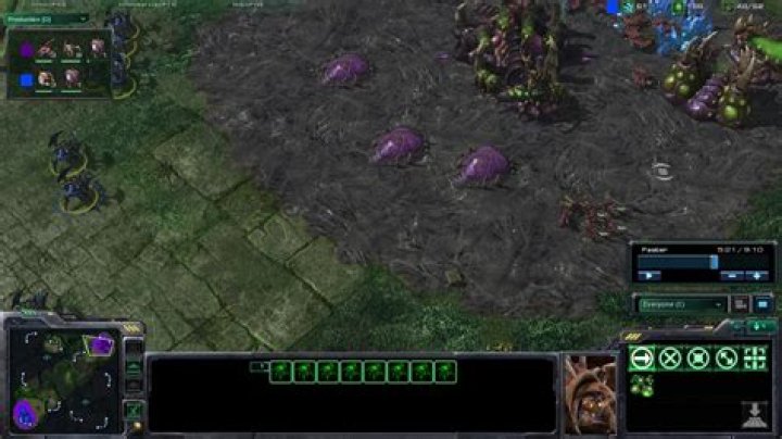 How do I counter the 7 roach rush build?