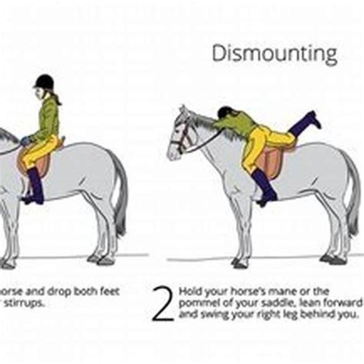 How do I dismount my horse?