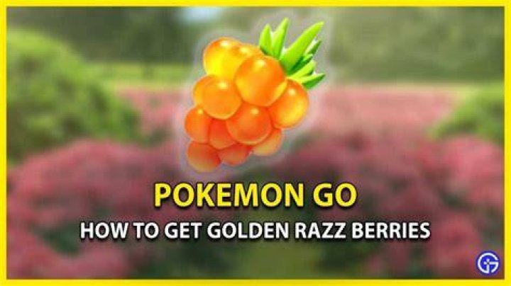 How do I get razz berries in Pokemon: Let's Go?