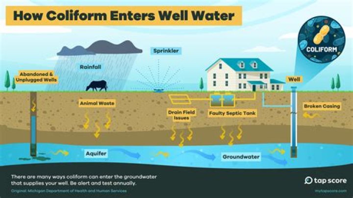 How do I get water from a well into my waterskin?