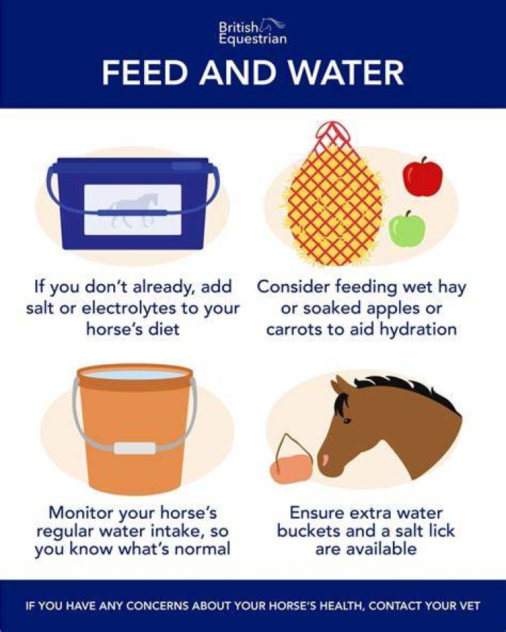 How do I move horses without golden apples or carrots?