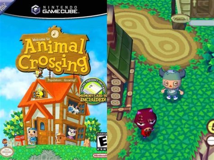 How do I upgrade Tom Nook's store in Animal Crossing for the Gamecube?