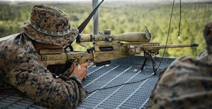 How do sniper rifles compare?