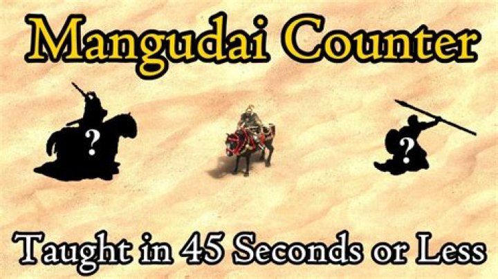 How do you counter a mangudai and paladin combo?