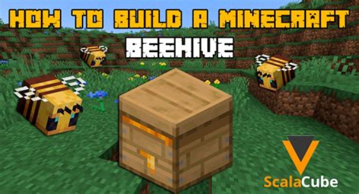 How do you find the beehive?