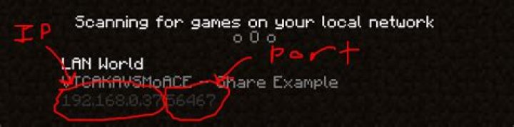 How do you find your port for Minecraft LAN worlds?