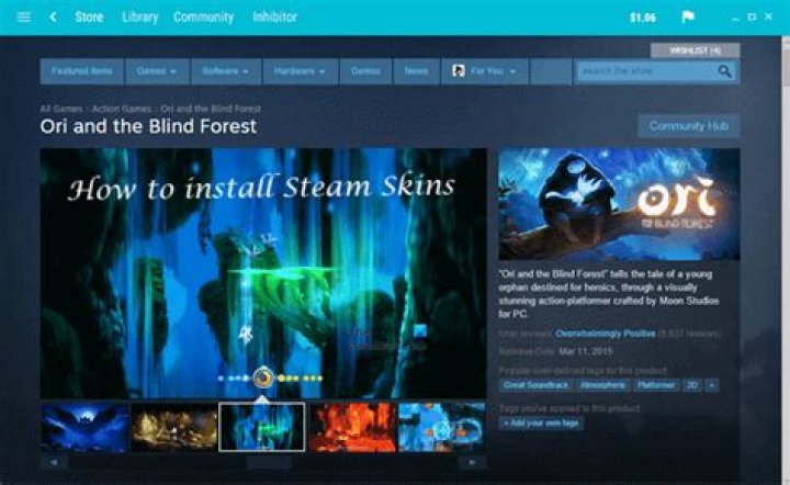 How do you install skins on Steam?