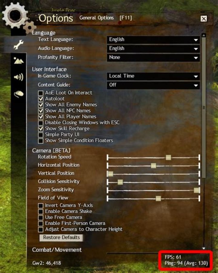 How do you show FPS and ping in GW2?