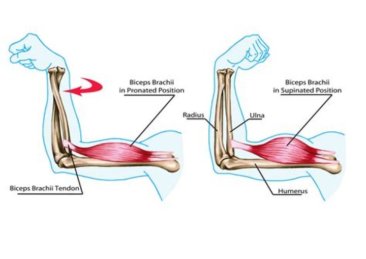 How does arm wrestling work?