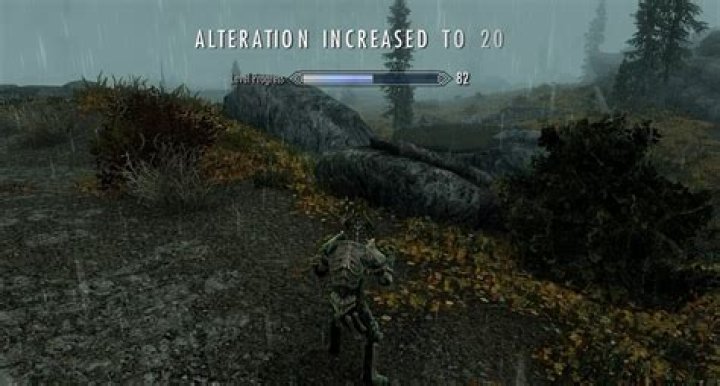 How does the difficulty level affect the gameplay in Skyrim?