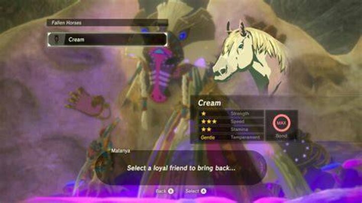 How many dead horses will the Horse God, Malanya, remember?