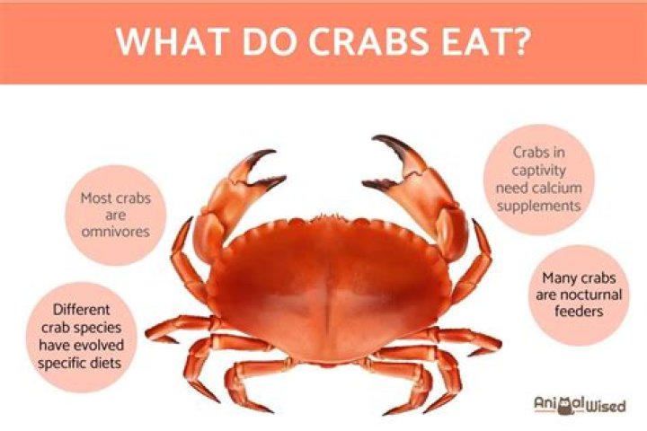 How many uses do Crab Pots have?