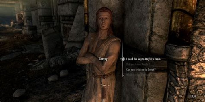 How to continue past bugs in the Forsworn Conspiracy?