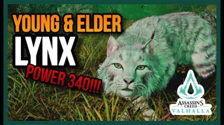 How to defeat Lynx?
