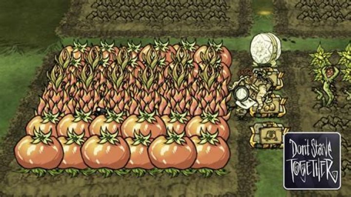 How to make our own public dedicated server in Don't Starve Together which will run 24/7?